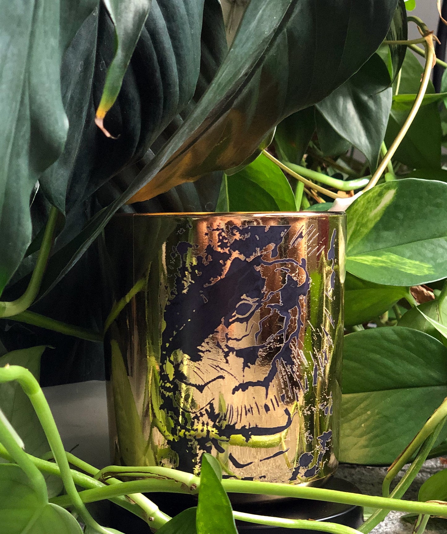 Black Glamorous Tiger